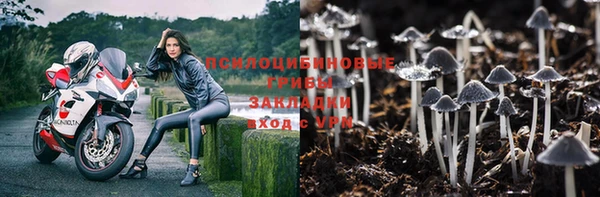 бошки Богородск